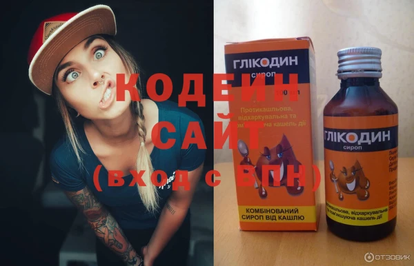 прущие грибы Сясьстрой