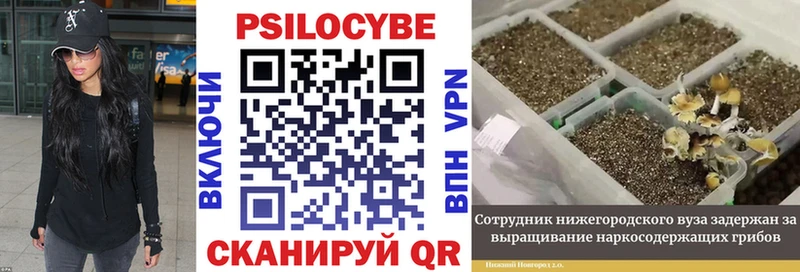 Галлюциногенные грибы Magic Shrooms  Можайск 