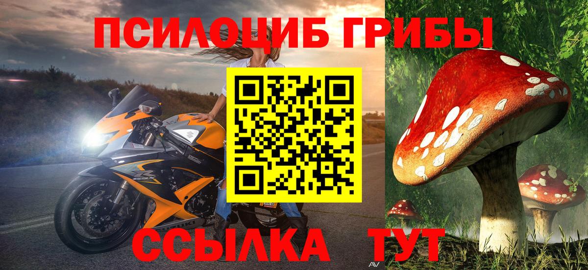 Галлюциногенные грибы Magic Shrooms Можайск